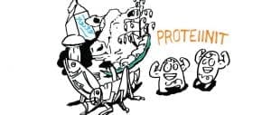 Proteiinikuva Ari Paloviidan blogitekstissä
