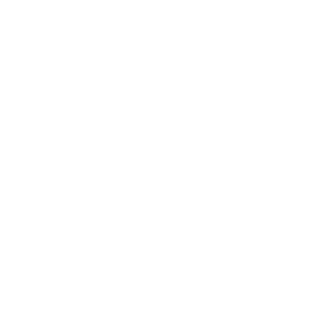 LSR_Logo2026_Valkoinen-320
